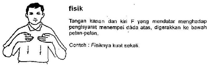 gambar sibi Fisik
