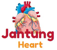 gambar Jantung