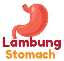 gambar Lambung