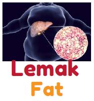 gambar Lemak